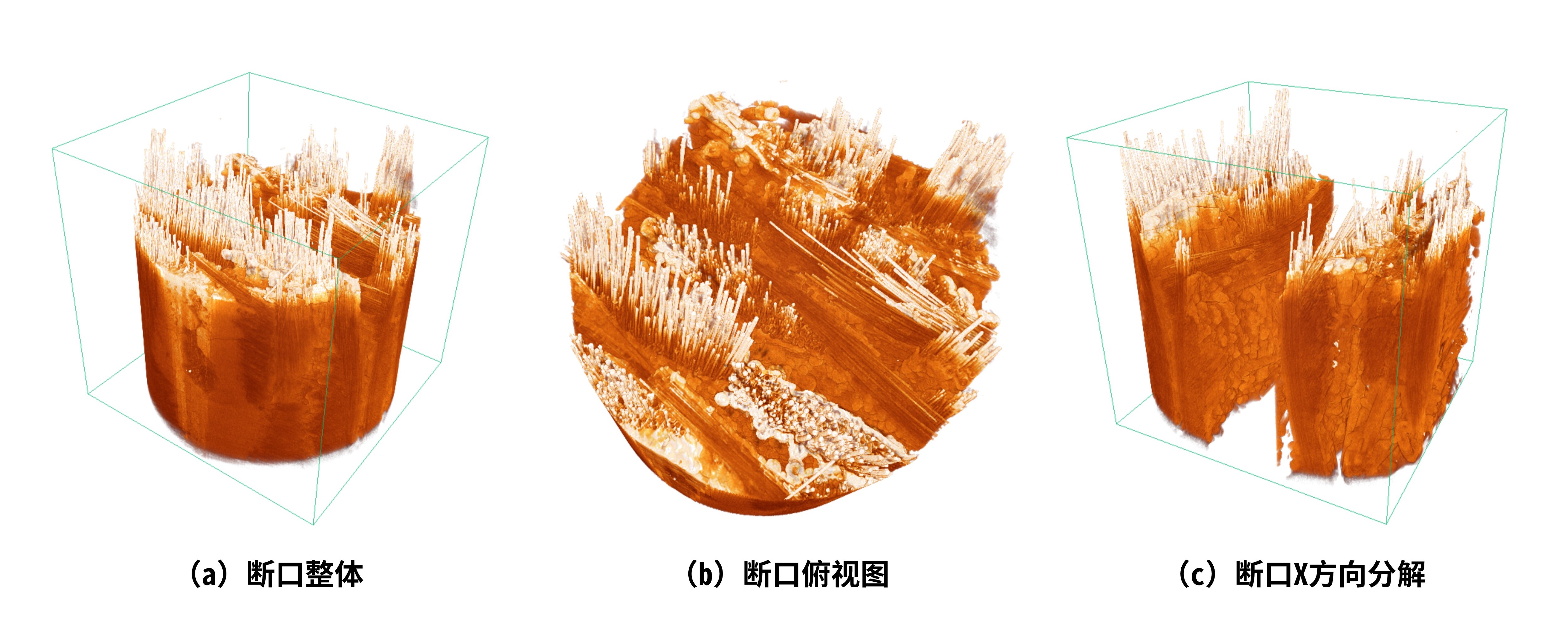 世博娱乐